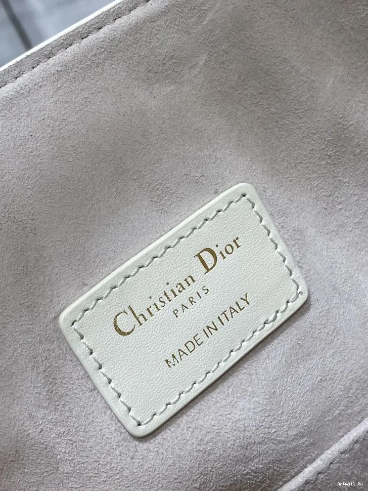 Christian Bags Dior 47659 GoAnywhere Bucket 0722